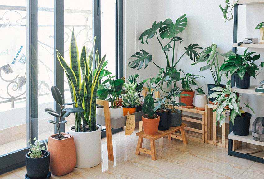 eco friendly interior design concept